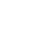 BookFlightPro.com logo